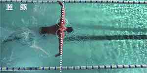 游泳方式|4种游泳姿势的特点介绍