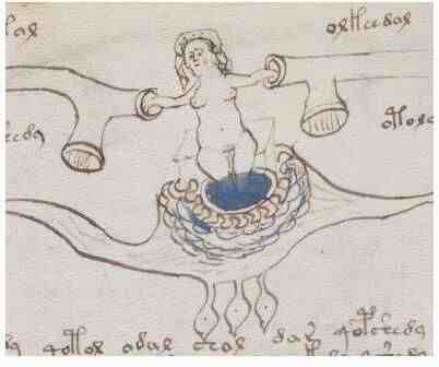 世界上最神秘的手稿：伏尼契手稿，其中内容至今仍旧是个谜