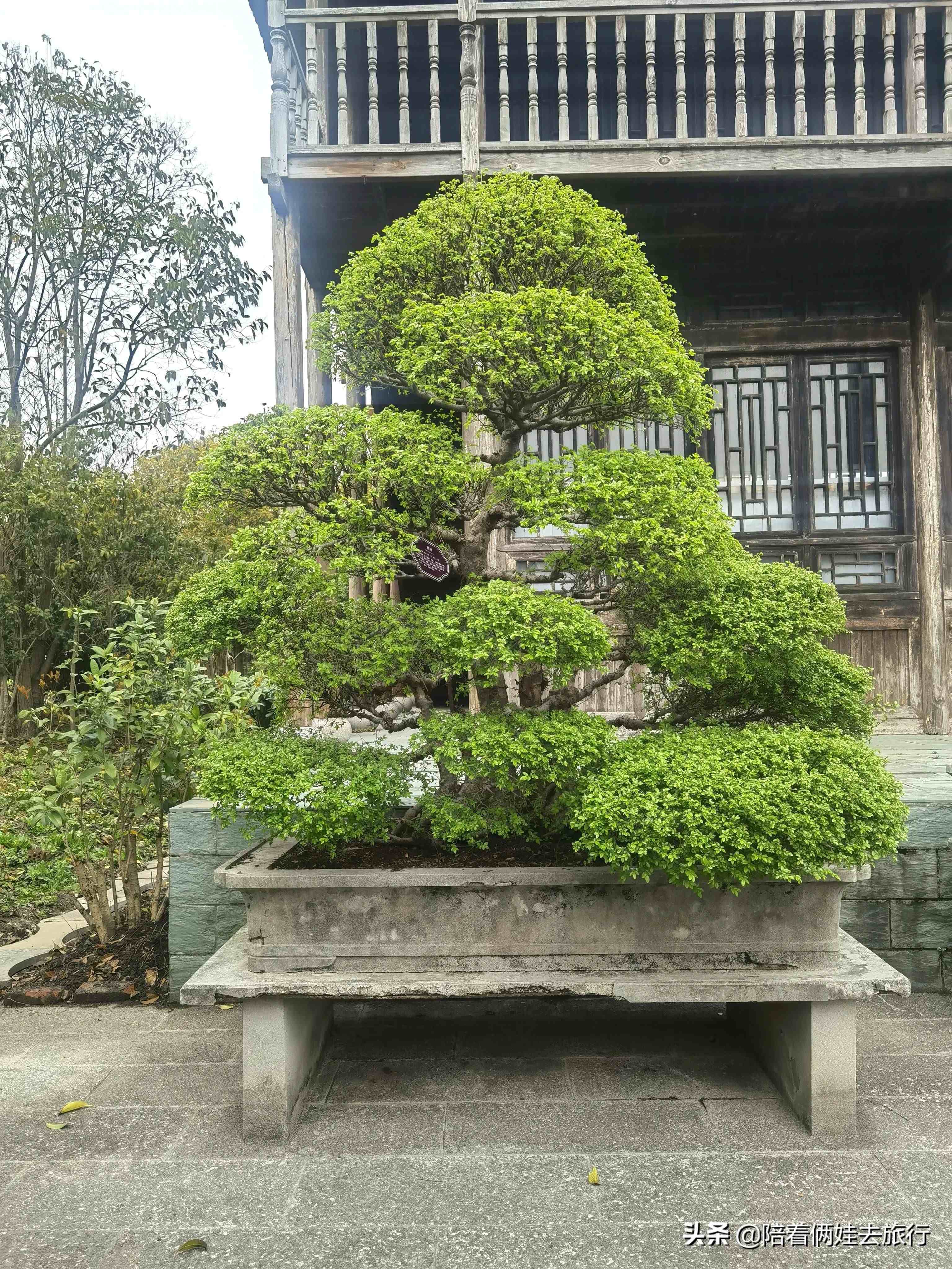 韩湘水博园|韩湘水博园门票60岁