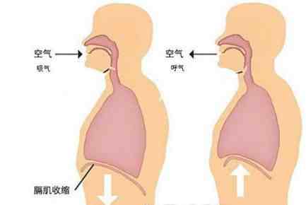 学唱歌入门教程|无基础唱歌技巧