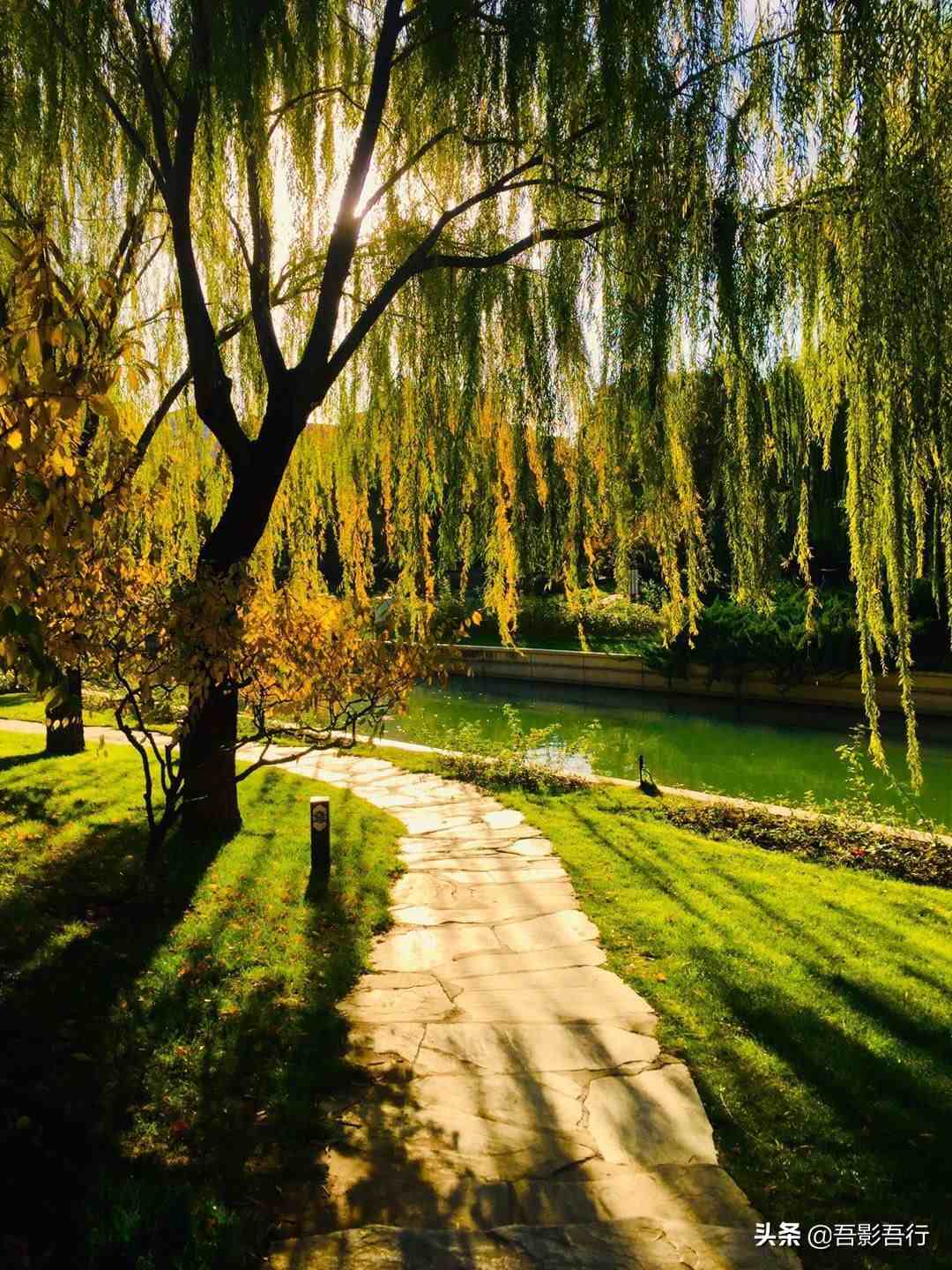 北京元大都遗址公园：遗迹众多、秋色醉人、晨跑、遛弯的生态园林