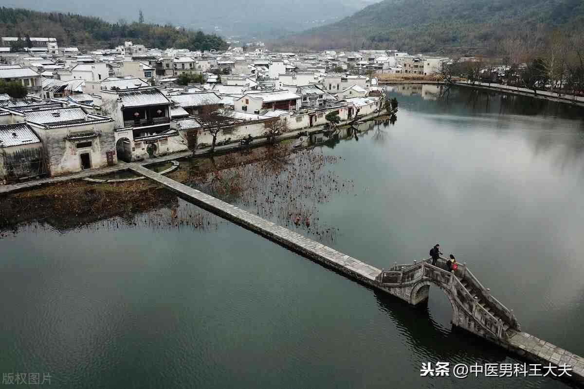 湿热下注|湿热下注，精关不固