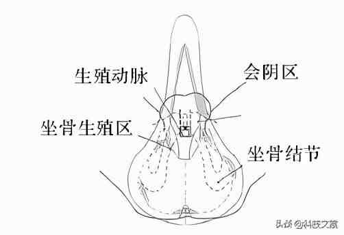 可行性报告范文|简化版可行性报告