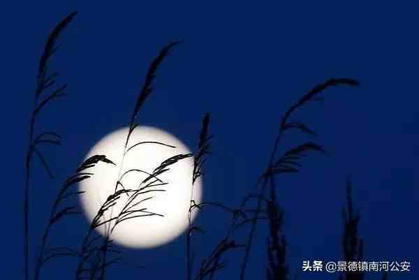诗词｜杜甫：露从今夜白，月是故乡明