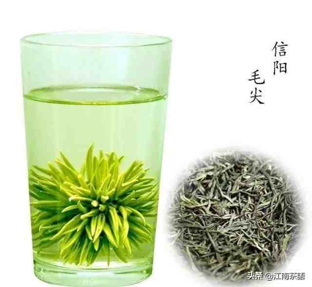 中国名茶|新中国十大名茶历次排行榜
