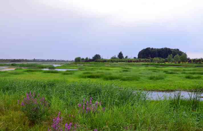 “气蒸云梦泽，波撼岳阳城”，洞庭湖从哪里来？