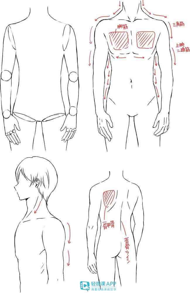 漫画人物很难画？手把手教你学会画