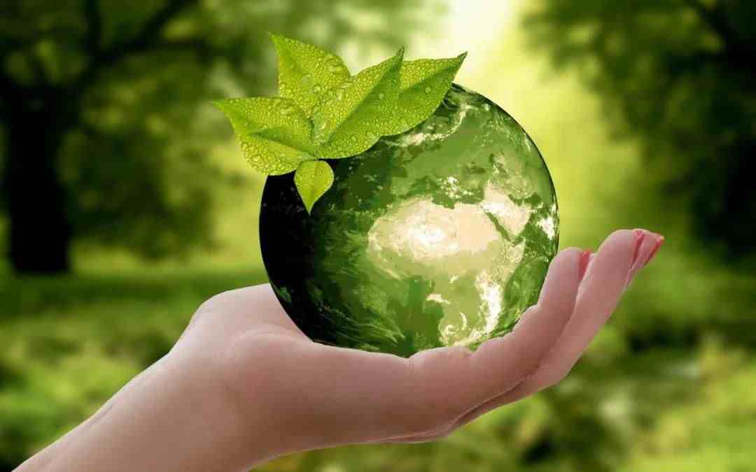 保护地球的广告语|世界地球日爱护地球