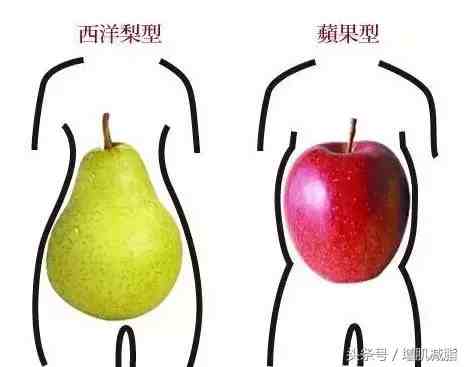 苹果型和梨型身材，才是最应该减肥的人！
