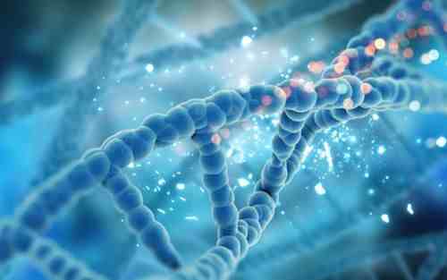 印记基因|Nature揭示印记基因新机制