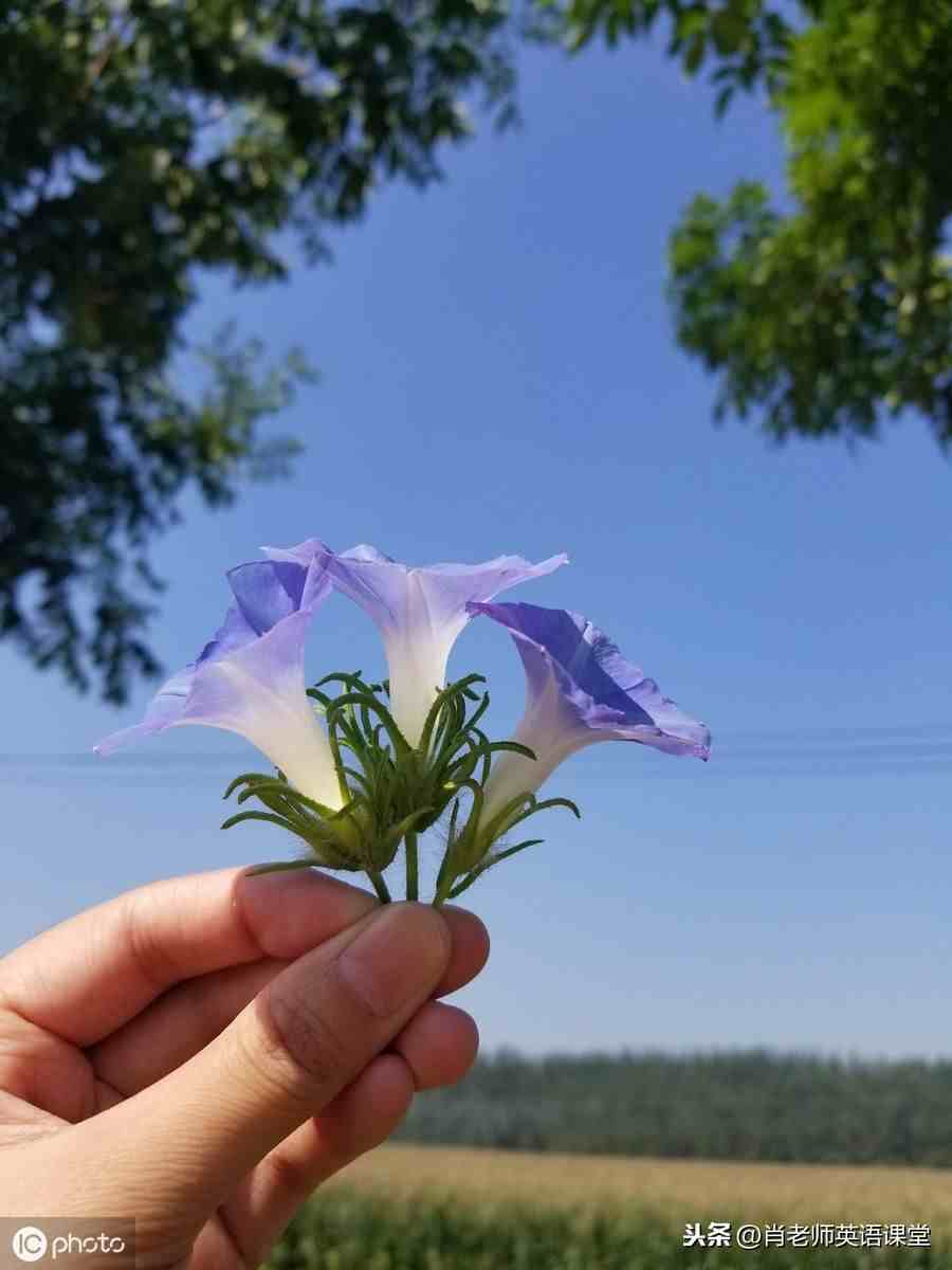 人称代词练习题|人称代词和物主代词专项练习