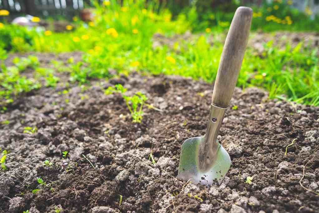 不同类型的土壤特点解析，如何因地制宜改良土壤？