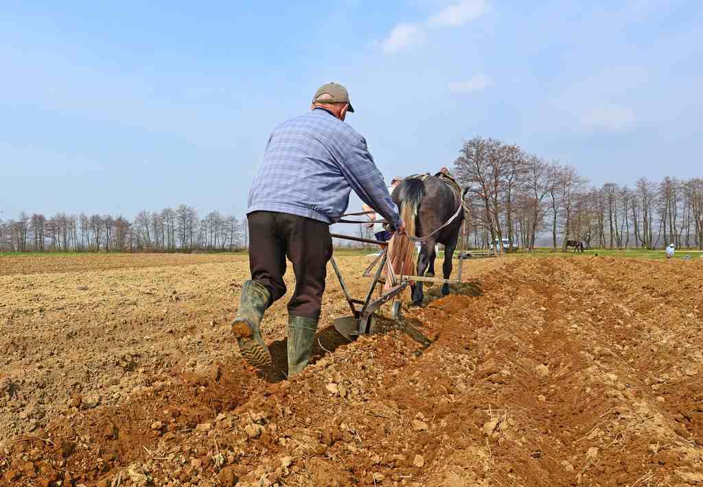 不同类型的土壤特点解析，如何因地制宜改良土壤？