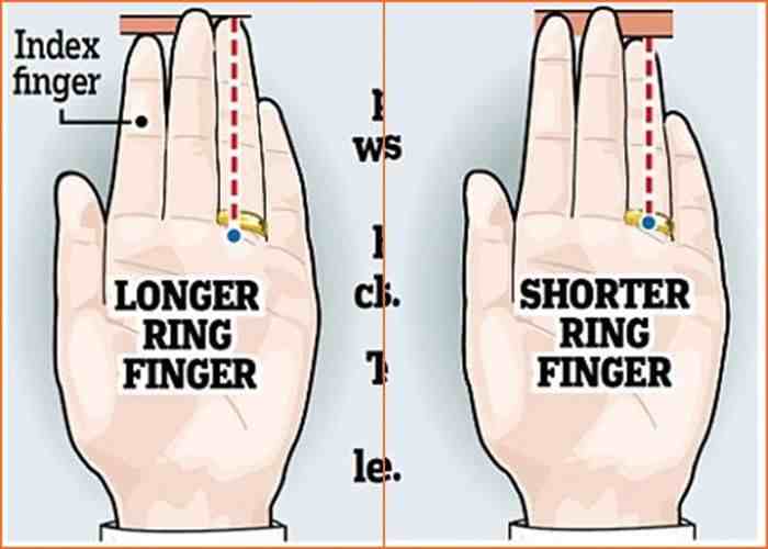 你的食指和无名指哪个更长？对照一下，你会发现三个秘密