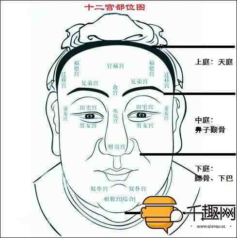 天庭饱满地阁方圆|什么是天庭饱满地阁方圆