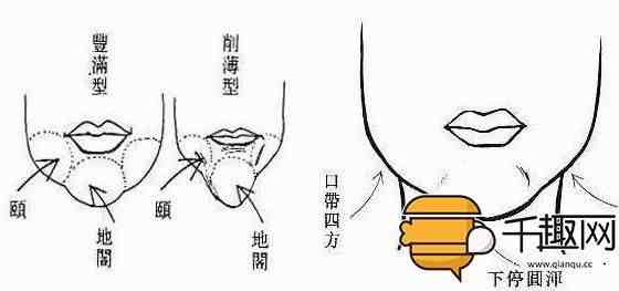 天庭饱满地阁方圆|什么是天庭饱满地阁方圆