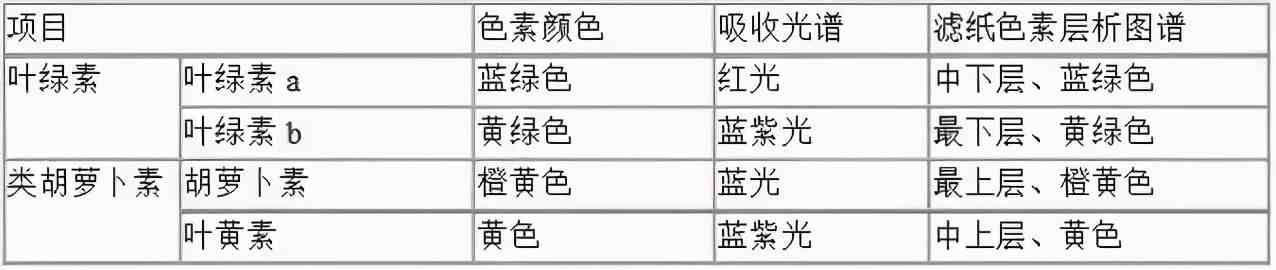 高中生物重要知识点，表格形式一定要收藏