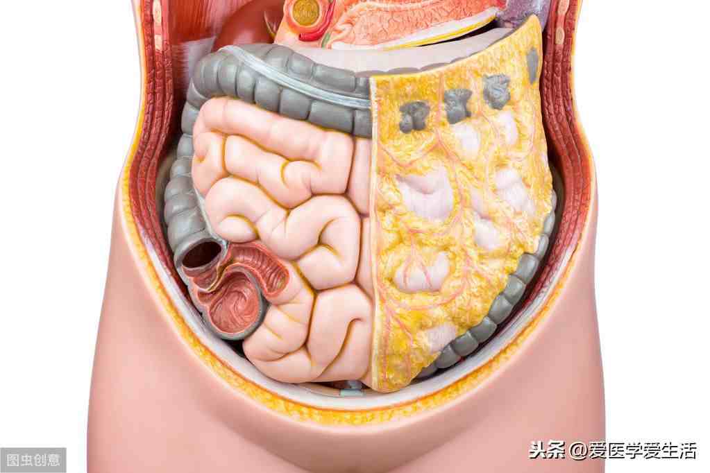 医学知识科普：胃肠道间质瘤的病因、诊断、检查方式以及治疗