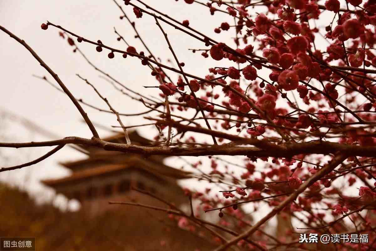 国学经典之《列子》第十一讲汤问：均，天下之至理也。