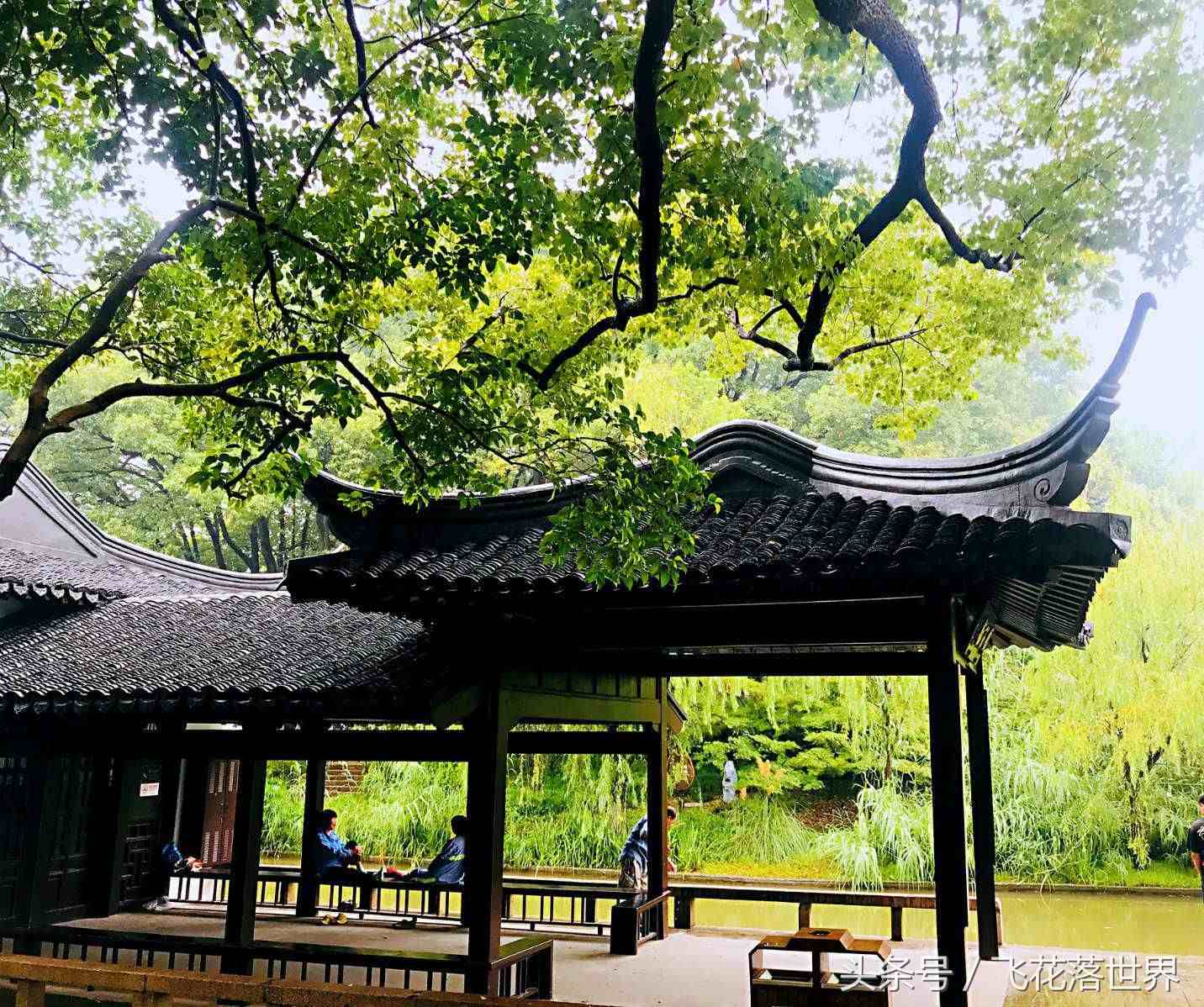 上海市松江区有一座少有游客前往的4A级景区方塔园，有故事的园林