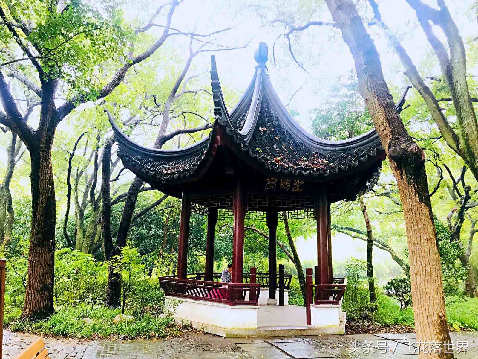 上海市松江区有一座少有游客前往的4A级景区方塔园，有故事的园林