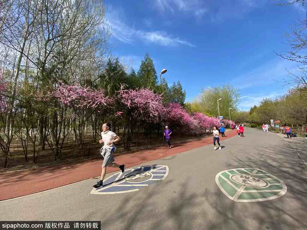 北京这三个免费的超美公园，可别说我没告诉过你！