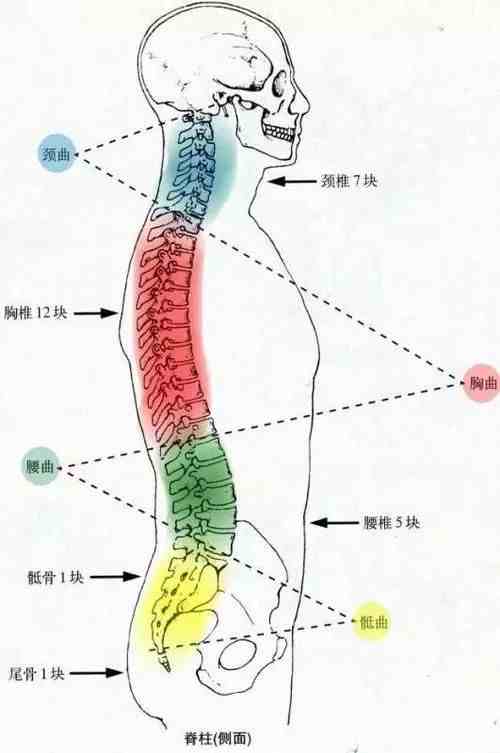 腰间盘突出最佳治疗|十天治好腰椎间盘突出