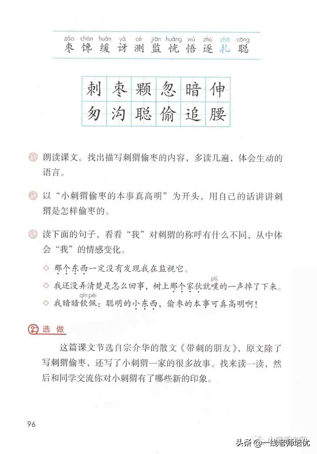 带刺的朋友|带刺的朋友之谷地里的歌声