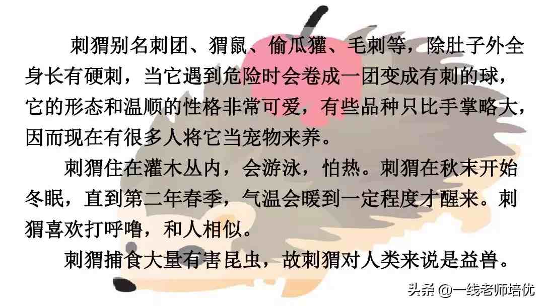 带刺的朋友|带刺的朋友之谷地里的歌声