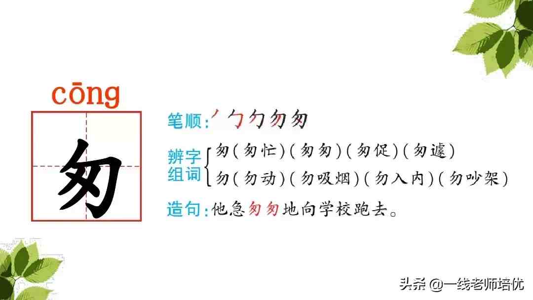 带刺的朋友|带刺的朋友之谷地里的歌声