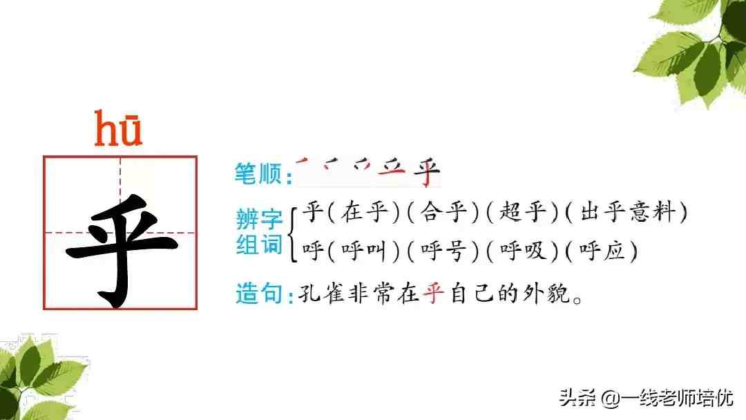 带刺的朋友|带刺的朋友之谷地里的歌声