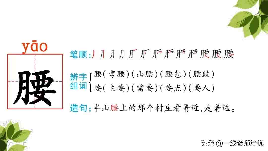 带刺的朋友|带刺的朋友之谷地里的歌声