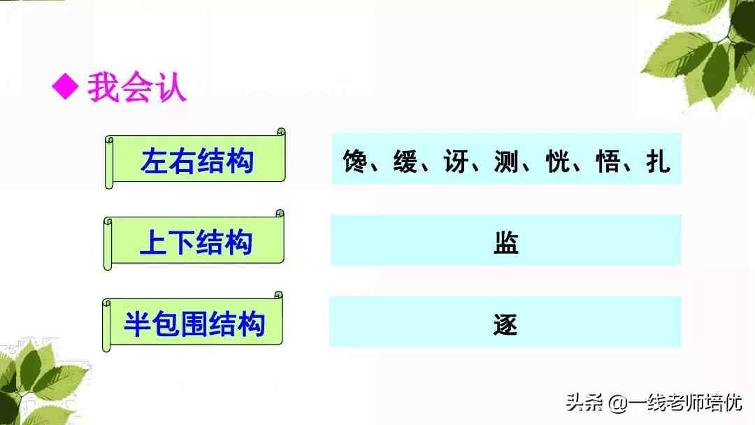 带刺的朋友|带刺的朋友之谷地里的歌声