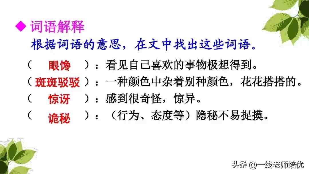 带刺的朋友|带刺的朋友之谷地里的歌声