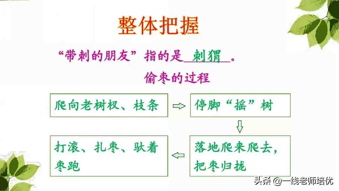 带刺的朋友|带刺的朋友之谷地里的歌声