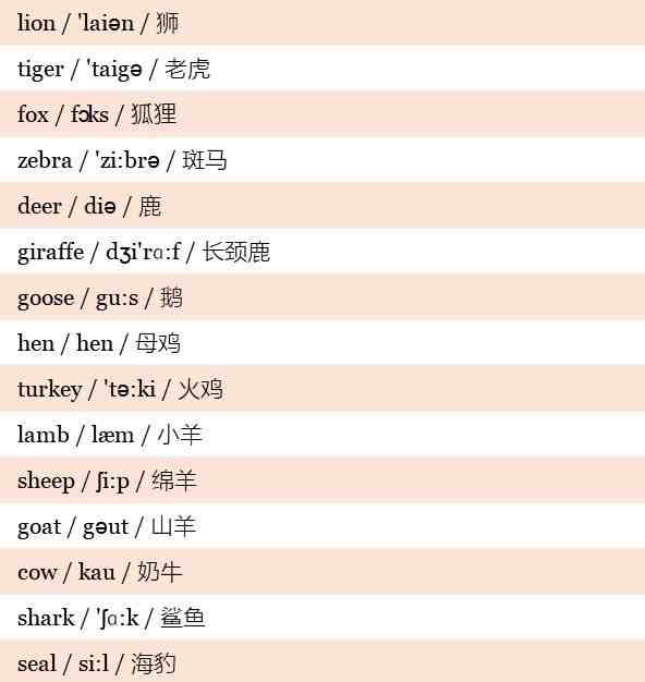 小学英语单词500个：带音标！带中文解释！高清版本！