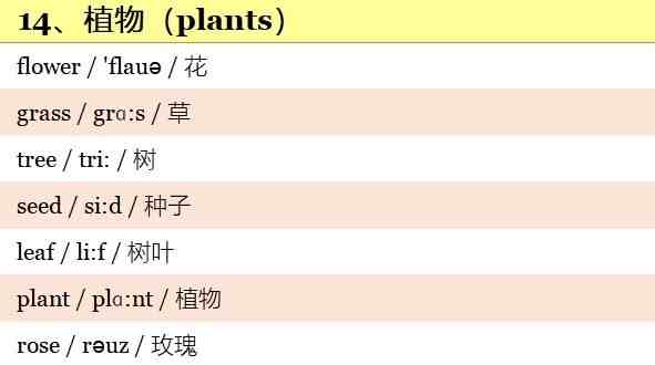 小学英语单词大全|小学1至6年级英语单词