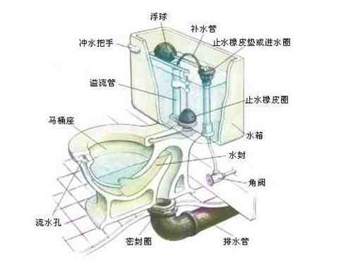 虹吸式马桶结构图|抽水马桶安装也有大学问