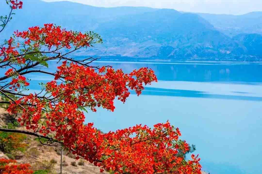 云南最美的十个湖泊