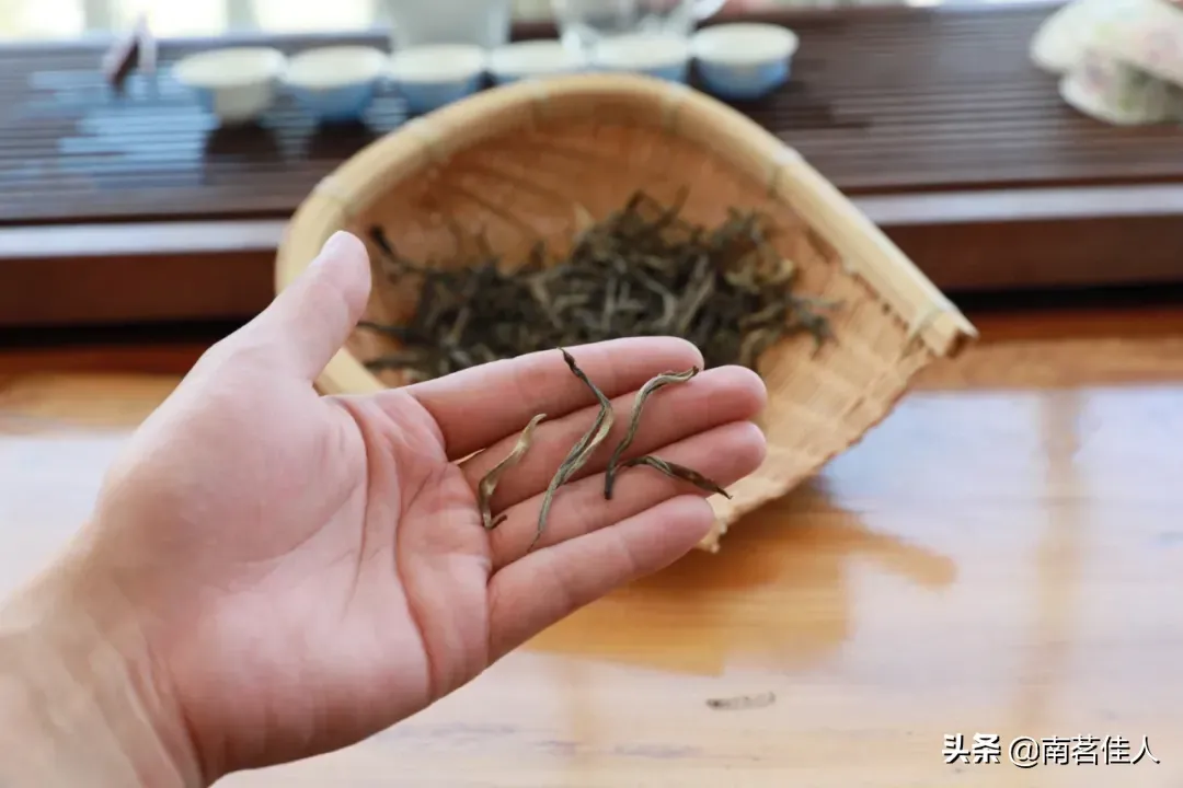 老班章普洱茶(老班章为什么能成为普洱茶界的王者)