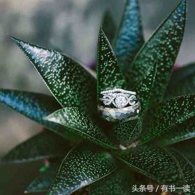 舒婷的诗|舒婷笔下最美的9首诗