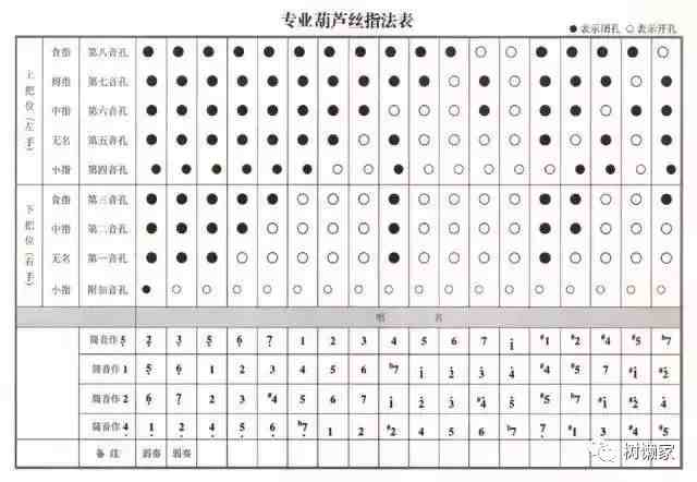 葫芦丝演奏符号及指法表大全