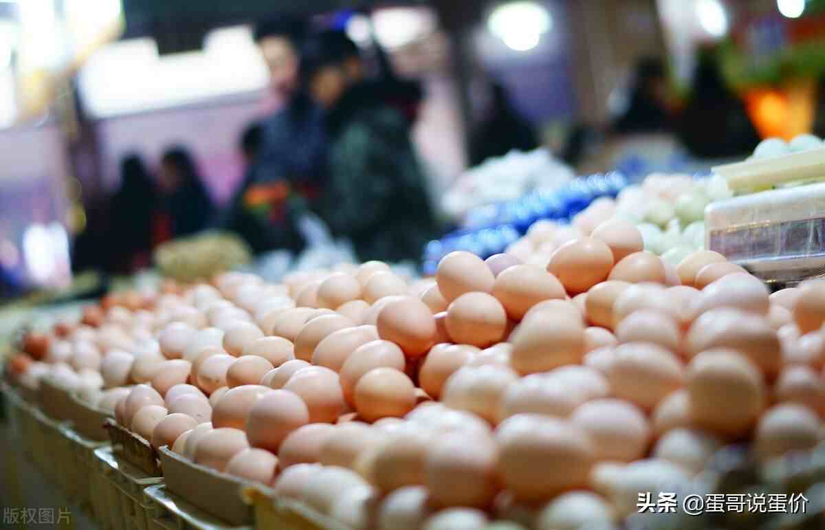 韩国鸡蛋价格暴涨四成！国内比韩国低54%，能出口吗？