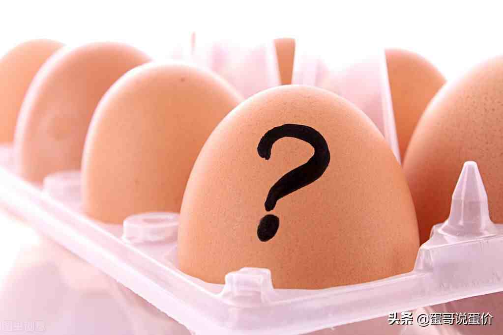 韩国鸡蛋价格暴涨四成！国内比韩国低54%，能出口吗？