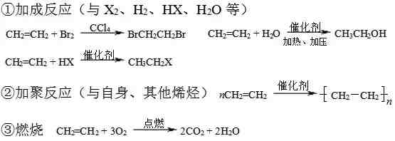 高一化学有机物|高中化学有机物知识点整理