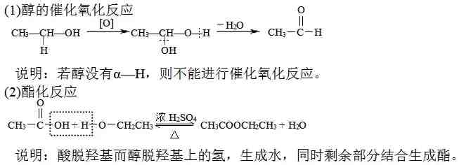 高一化学有机物|高中化学有机物知识点整理