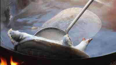 “千年王八，万年鳖”能够延年益寿的绝味美食——红烧甲鱼