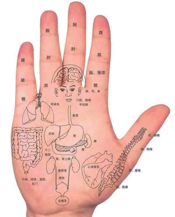 最详细的手掌穴位图解大全—手掌也能通全身