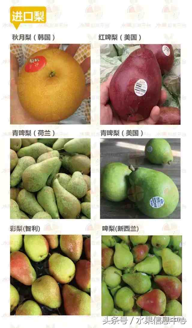水果种类|水果品类专业分类