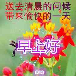 可转发的动态祝福图|各种早上好动态祝福